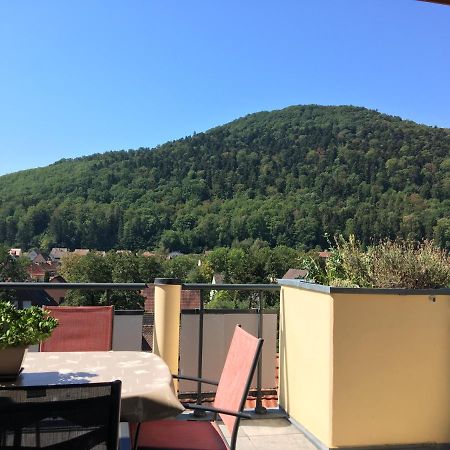 Le Panorama Apartament Kaysersberg-Vignoble Zewnętrze zdjęcie