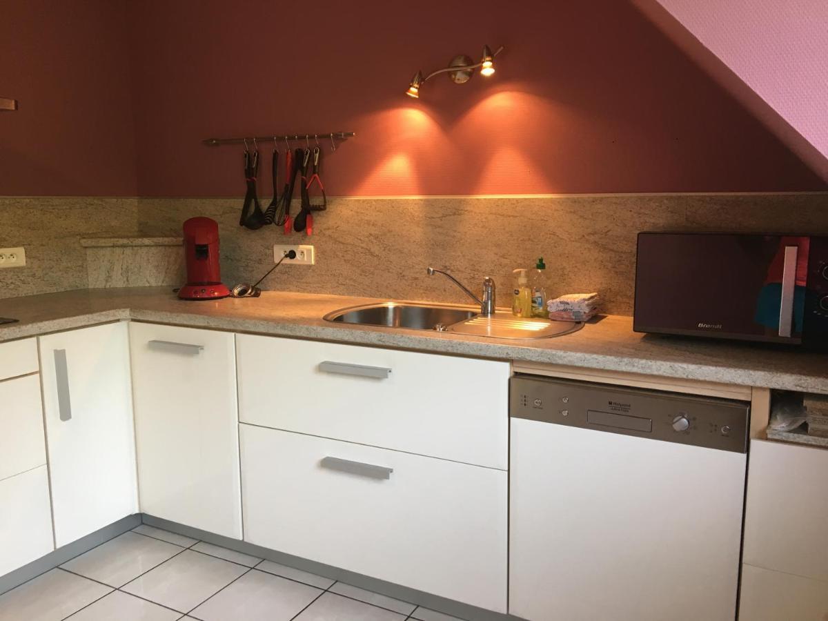 Le Panorama Apartament Kaysersberg-Vignoble Zewnętrze zdjęcie