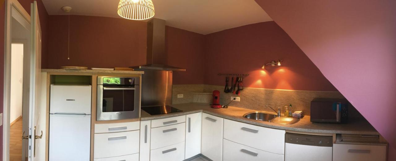 Le Panorama Apartament Kaysersberg-Vignoble Zewnętrze zdjęcie