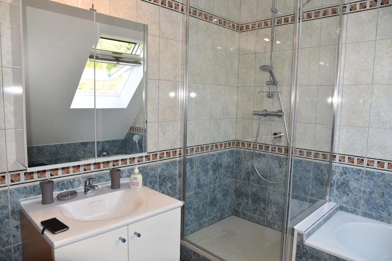 Le Panorama Apartament Kaysersberg-Vignoble Zewnętrze zdjęcie