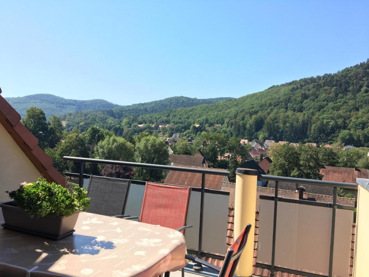 Le Panorama Apartament Kaysersberg-Vignoble Zewnętrze zdjęcie