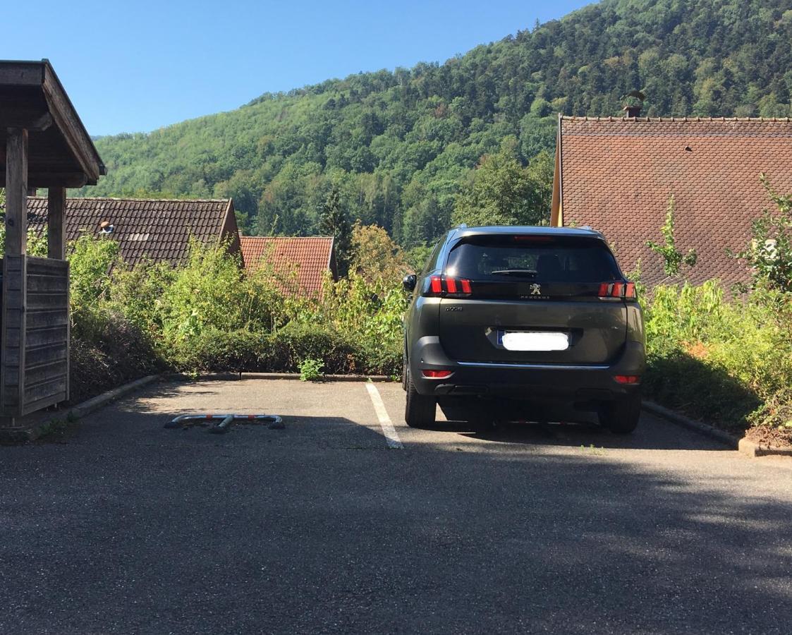 Le Panorama Apartament Kaysersberg-Vignoble Zewnętrze zdjęcie