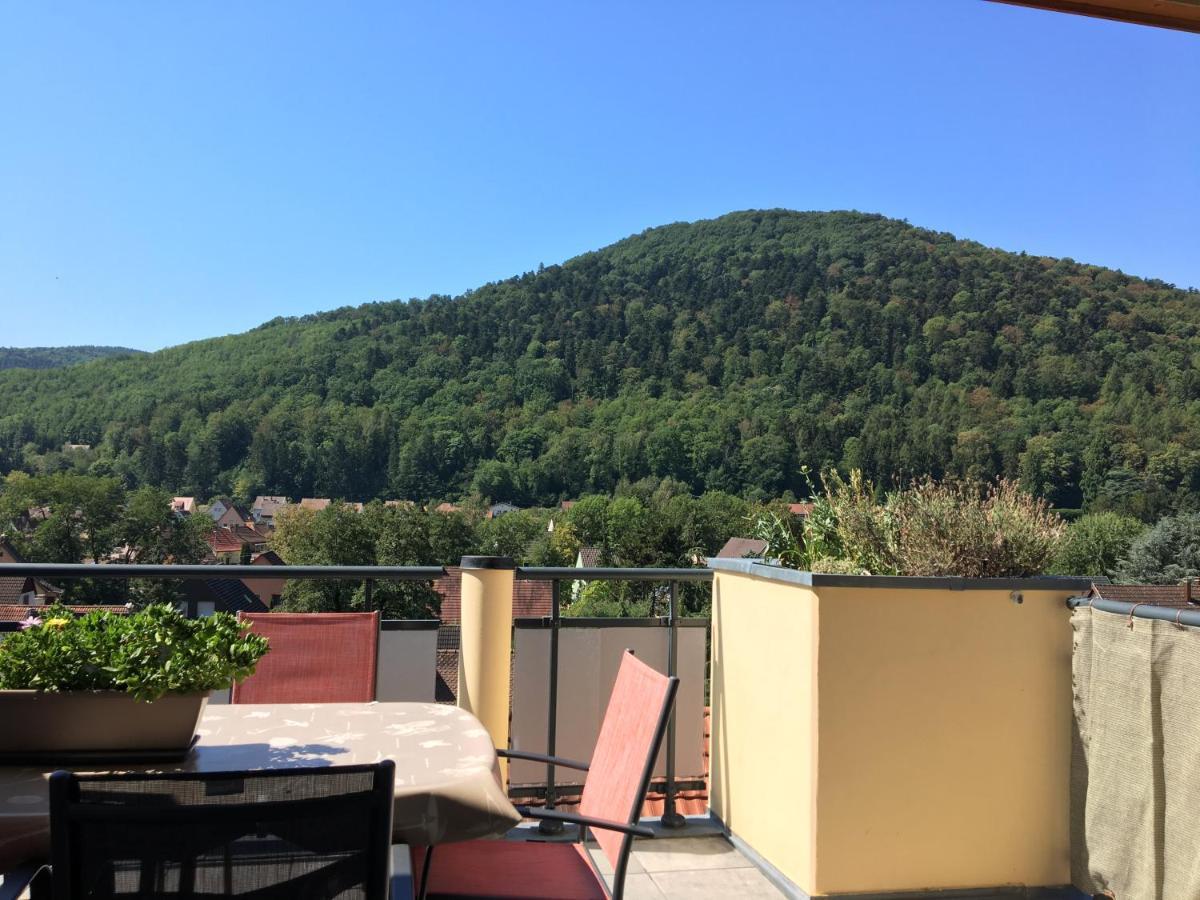 Le Panorama Apartament Kaysersberg-Vignoble Zewnętrze zdjęcie