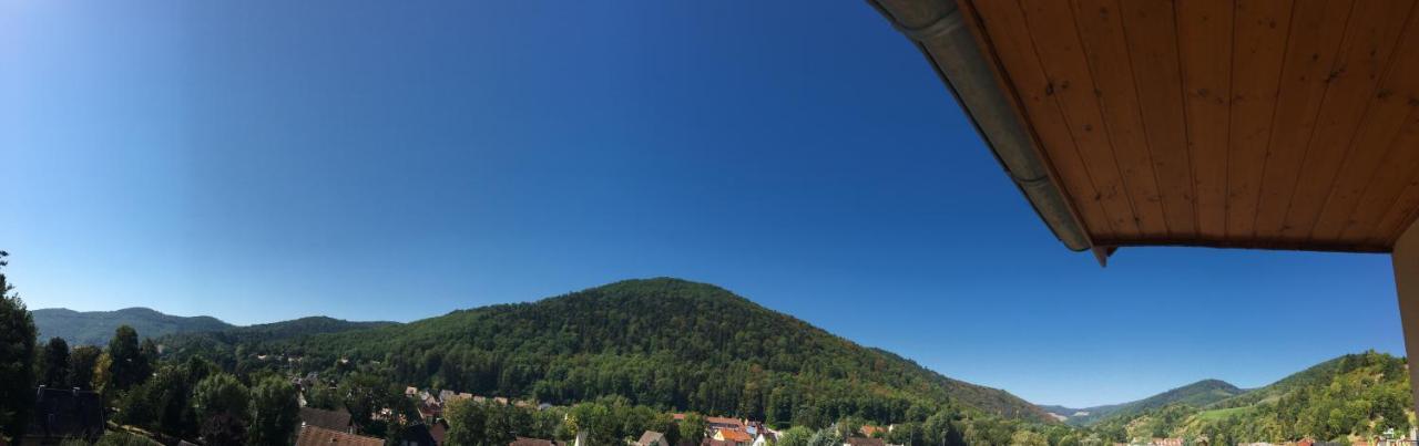 Le Panorama Apartament Kaysersberg-Vignoble Zewnętrze zdjęcie